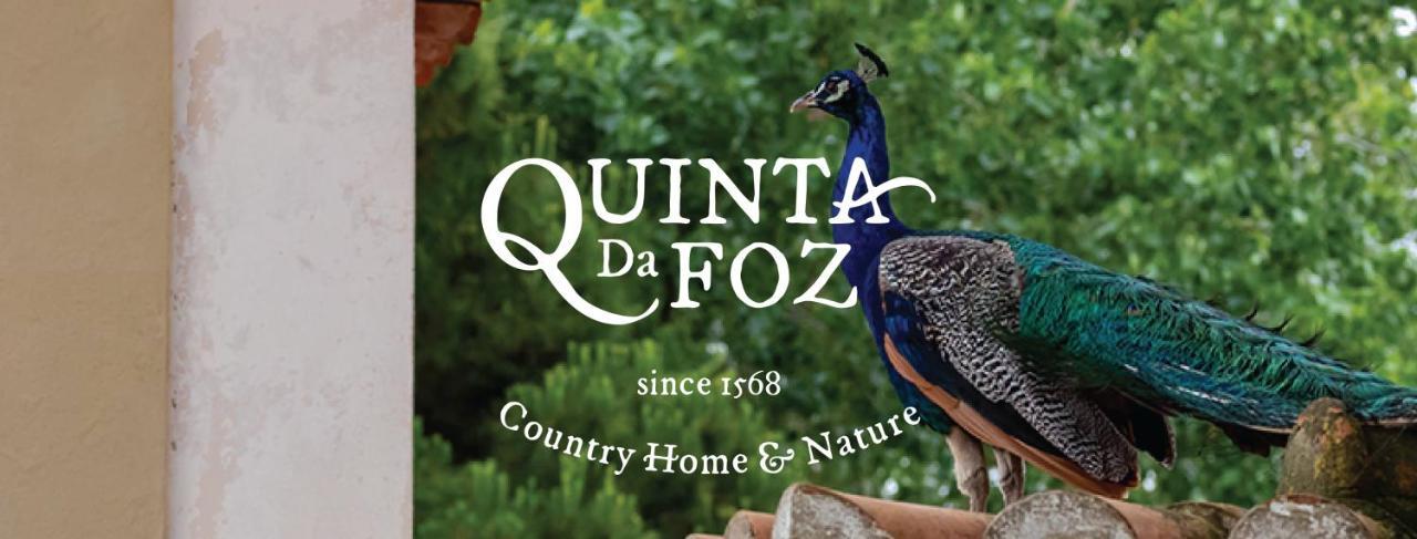 Quinta Da Foz Villa Foz do Arelho Ngoại thất bức ảnh